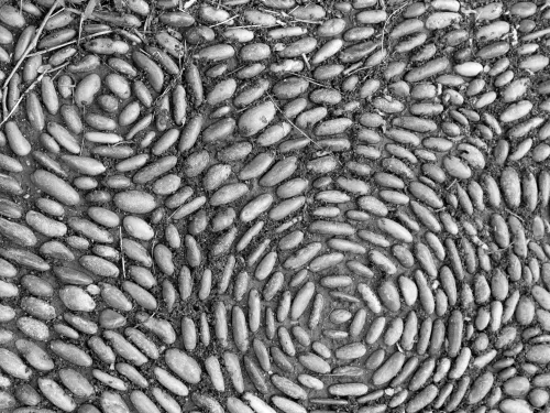 Circle Patterns